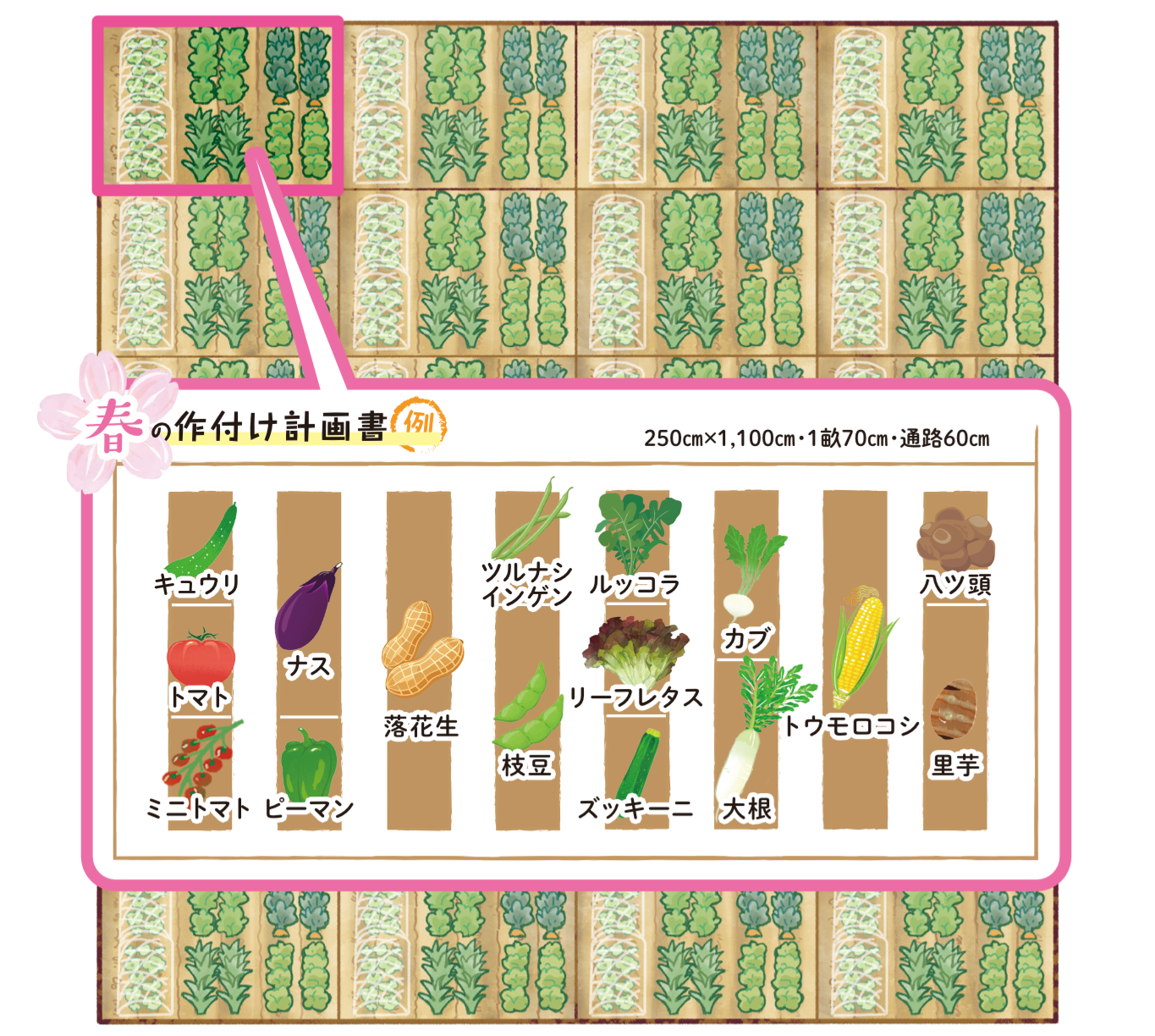 例)春の作付け計画イメージ