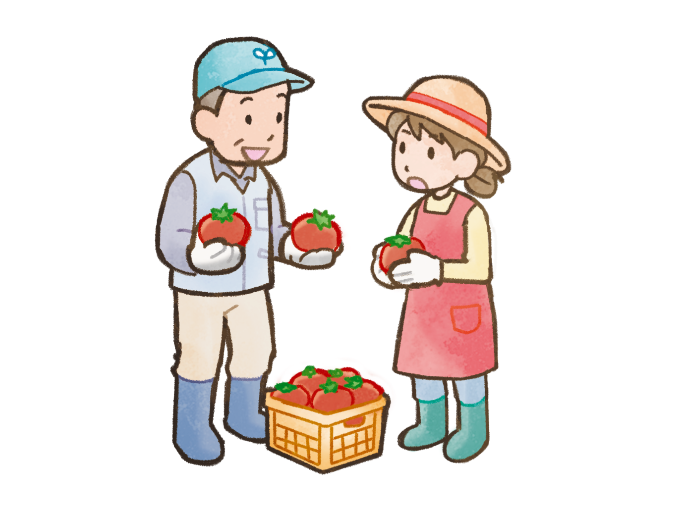 収穫の最盛期【農業体験農園】